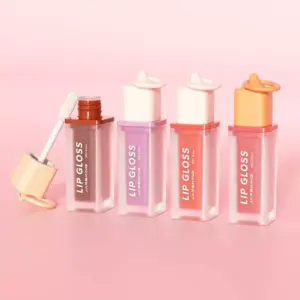 Custom Lip Gloss Plastic Tube